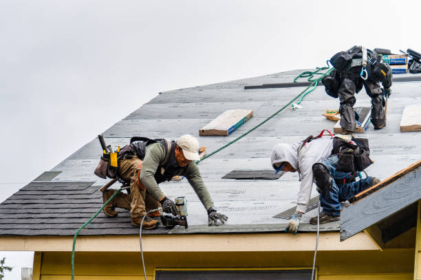 Professional Gutter Installation technician working in South Beloit, IL